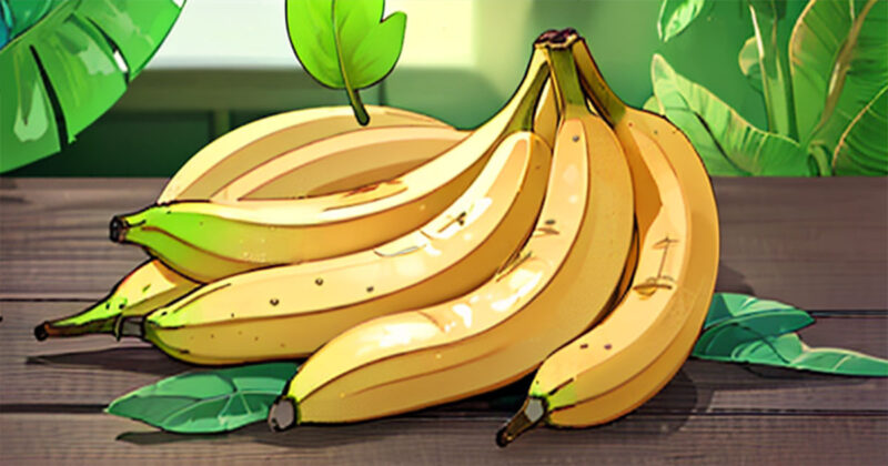 בננות מעולות לירידה במשקל