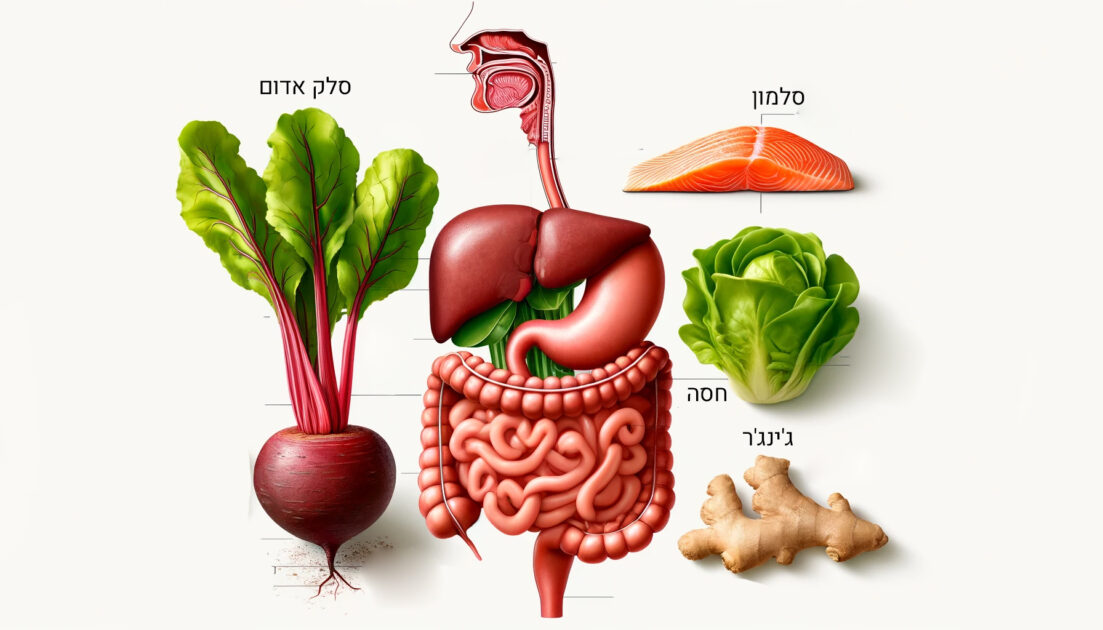 מזונות למערכת העיכול
