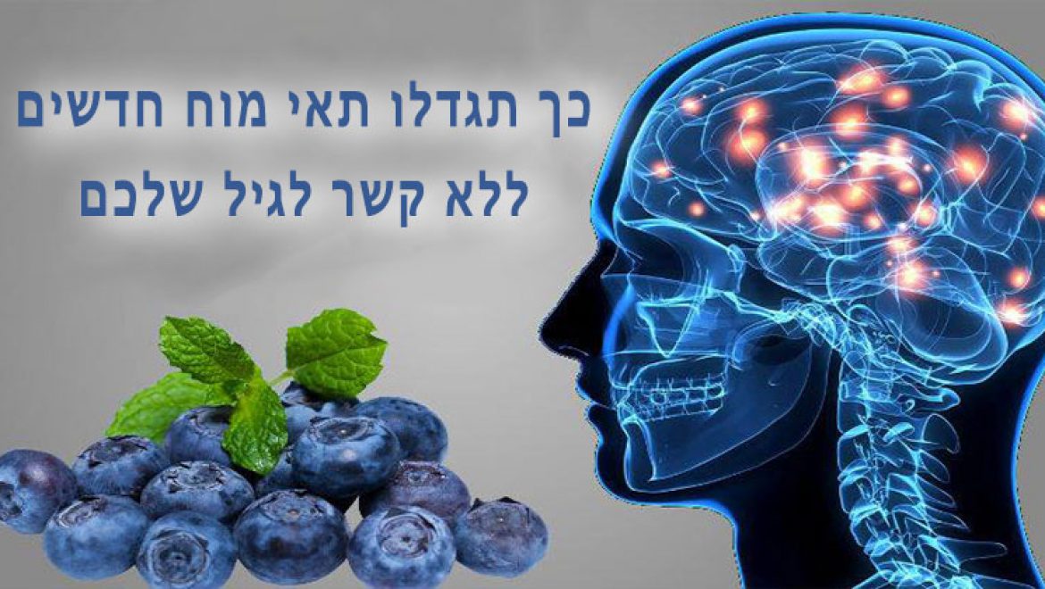 כך תגדלו תאי מוח חדשים ללא קשר לגיל שלכם !