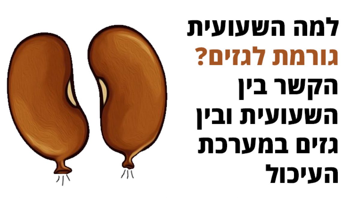 למה השעועית גורמת לגזים? הקשר בין השעועית ובין גזים במערכת העיכול