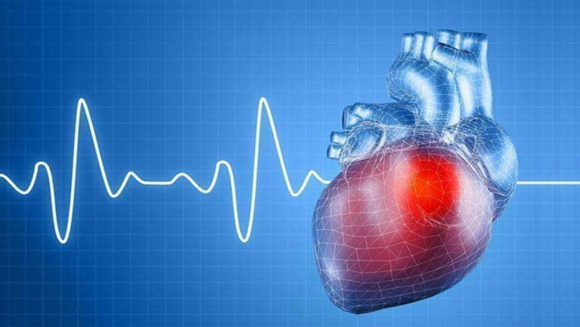 תרופות טבעיות לטיפול בטכיקרדיה (דפיקות לב מהירות): להרגעת הלב בבית