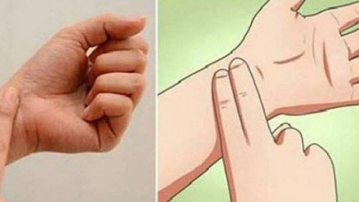 הדרך לבדוק את עצמכם ולראות אם אתם אלרגיים ולמה