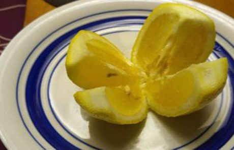 תחתכו לימון ל 4 חתיכות, שימו עליו קצת מלח והניחו באמצע המטבח! הטריק הזה ישנה לכם את החיים!