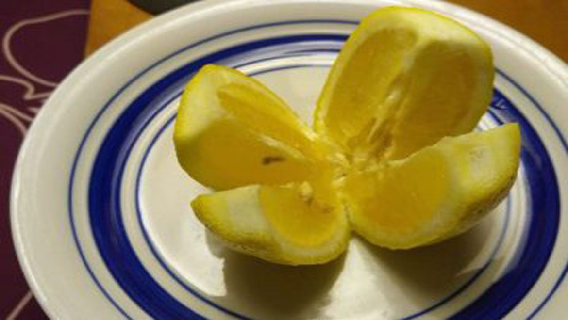 תחתכו לימון ל 4 חתיכות, שימו עליו קצת מלח והניחו באמצע המטבח! הטריק הזה ישנה לכם את החיים!