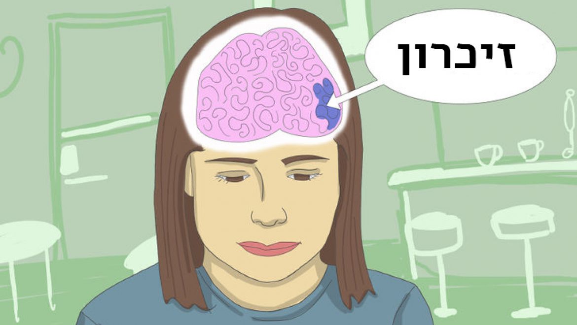 הנה הסוד כיצד להגדיל את הזיכרון עד 80%, לשפר את תפקוד המוח, לשחזר ולחדש את העצמות