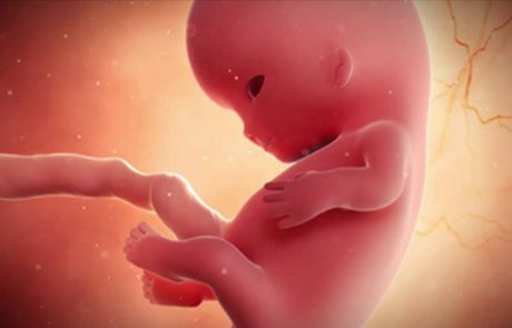12 דברים מדהימים שהתינוק שלכם עושה כאשר הוא נמצא בתוך הרחם