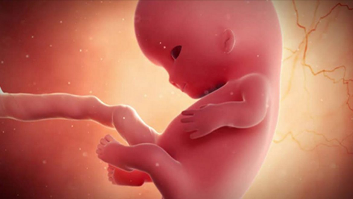 12 דברים מדהימים שהתינוק שלכם עושה כאשר הוא נמצא בתוך הרחם