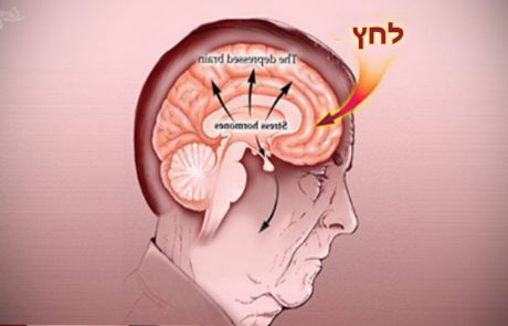 איך לאמן את המוח להפסיק להיות בלחץ